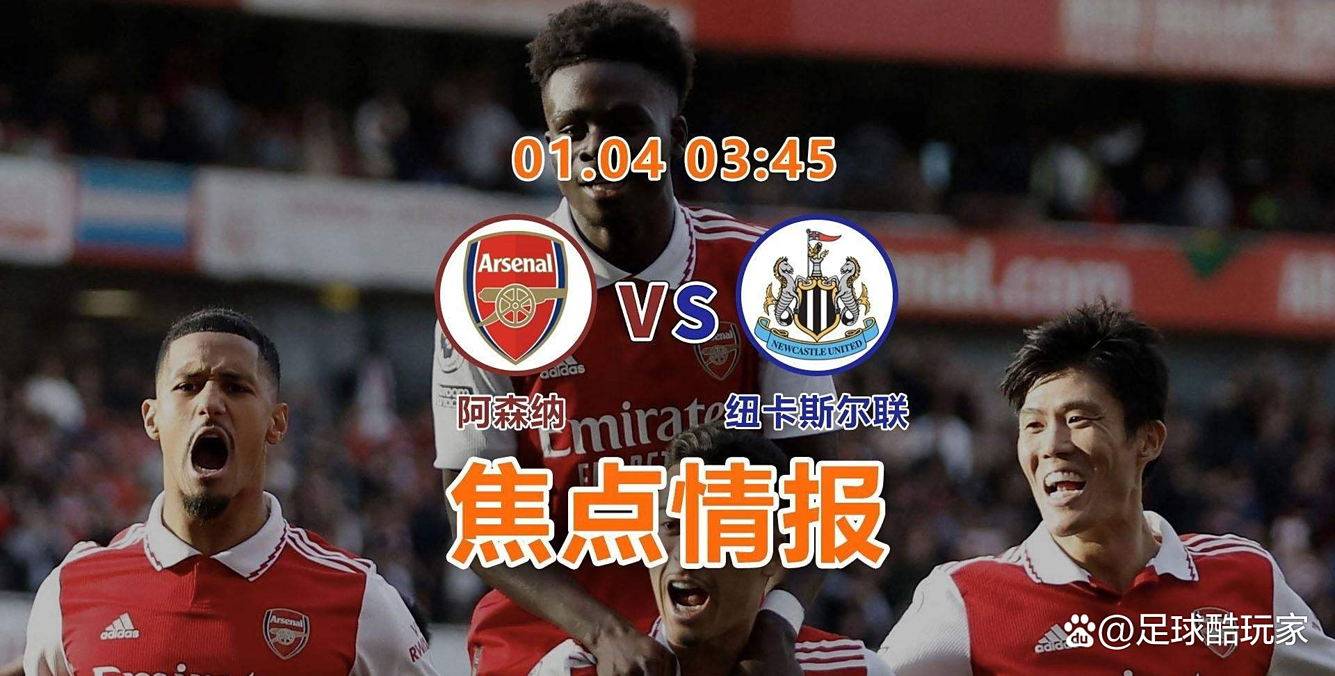 纽卡斯尔联主场失利，积分困境的简单介绍