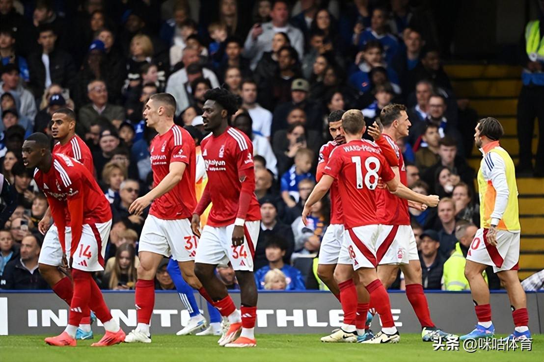 新赛季球队调整：谁将成为黑马？的简单介绍