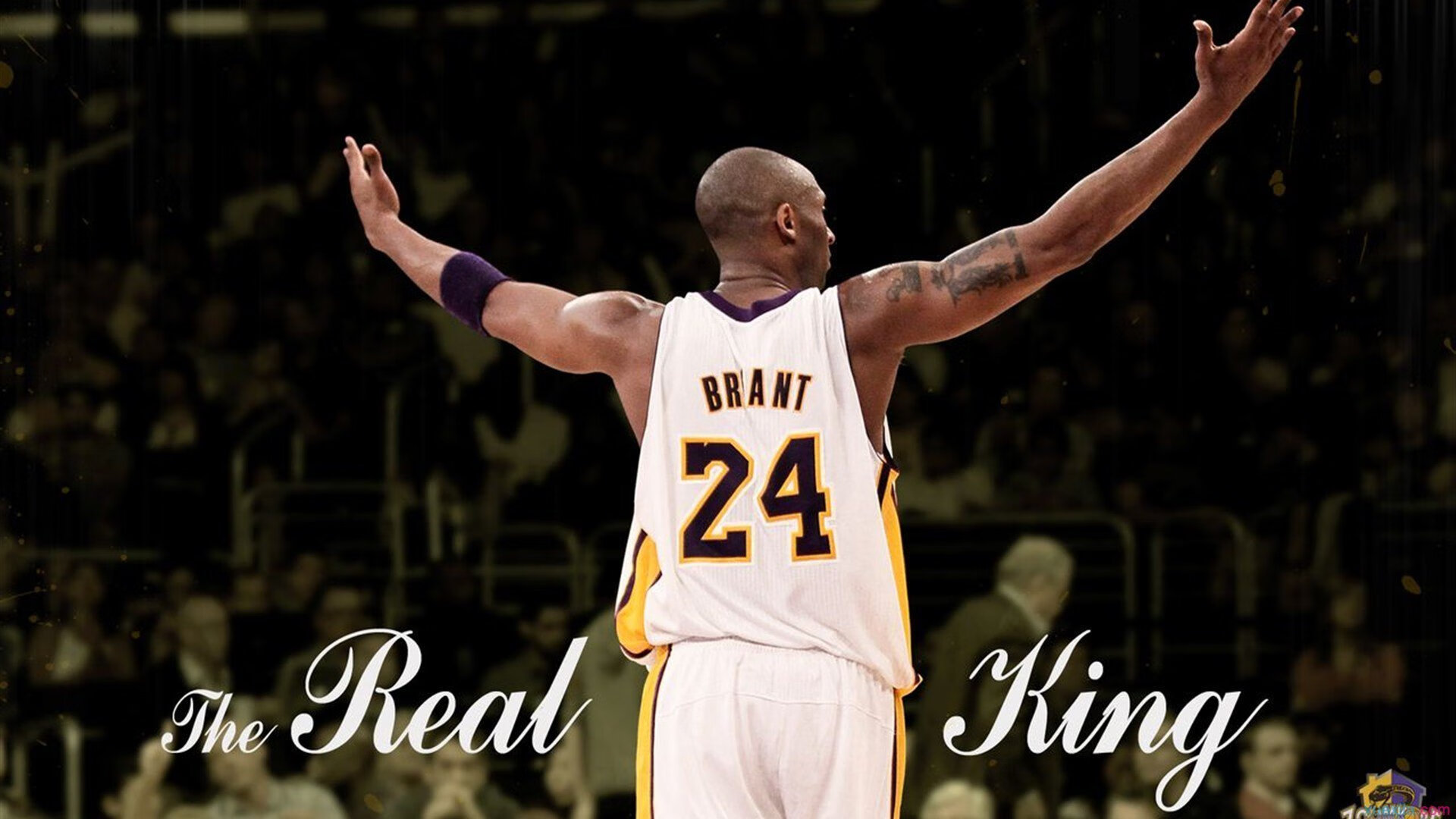 2026世界杯之夜,米切尔的火焰,照亮足球的另一种可能