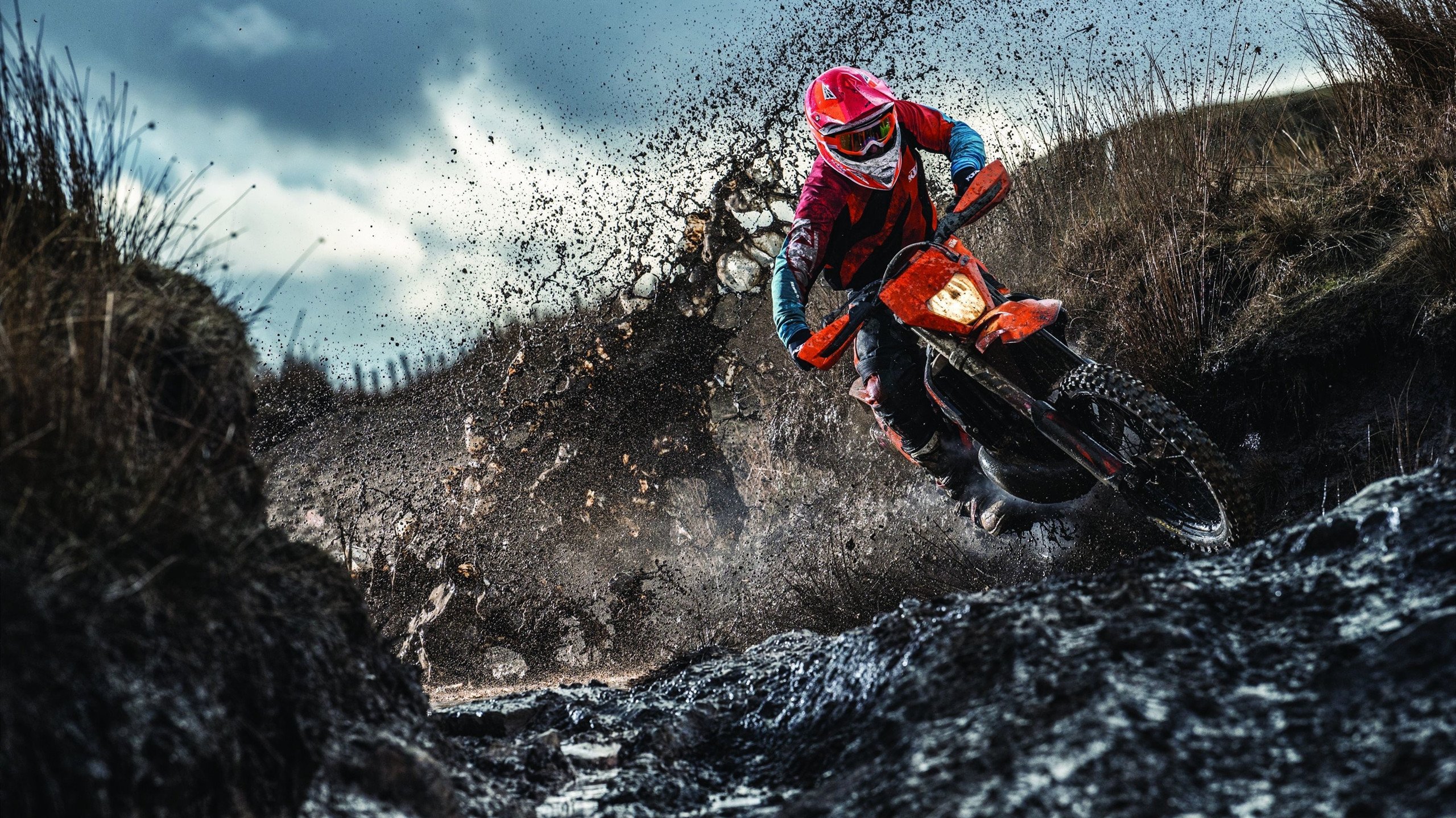 欧文主宰比赛走向，广厦队踏平湖人，一场跨越次元的篮球狂想